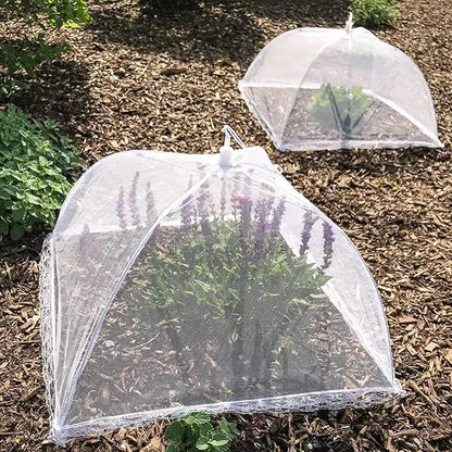 Simply Genius Pop-Up Outdoor Food Covers to Keep Bugs Away - 14 x 14 in, 4 Pack, White - Mesh Food Covers for Picnic & BBQ - Portable Nets for Outside - Image 5