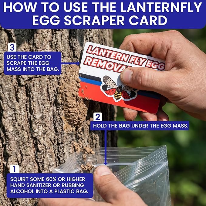 Spotted Lantern Fly Trap for Trees. 3 Sticky Fly Paper Rolls with Pins and Egg Scraper. Bug Tree Tape Wrap Ant Barrier Spotted Lanternfly Killer. Lantern Flies Tape for Trees Glue Insect Barrier