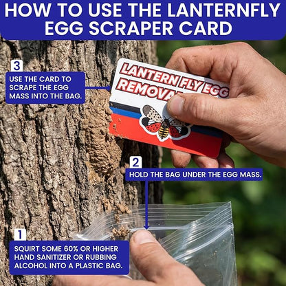 Spotted Lantern Fly Trap for Trees. 3 Sticky Fly Paper Rolls with Pins and Egg Scraper. Bug Tree Tape Wrap Ant Barrier Spotted Lanternfly Killer. Lantern Flies Tape for Trees Glue Insect Barrier