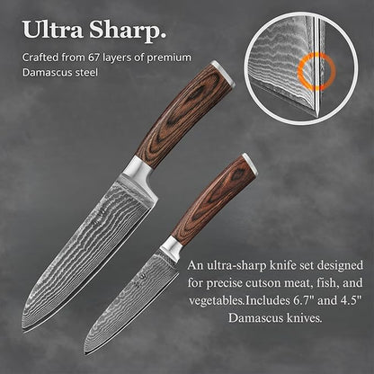 Wakoli EDIB 2-Piece Damascus Kitchen Knife Set – Santoku & Small Santoku with VG10 Core made of 67-Layer Damascus Steel Blades – Professional Chef Knives with Ergonomic Pakkawood Handles in Gift Box