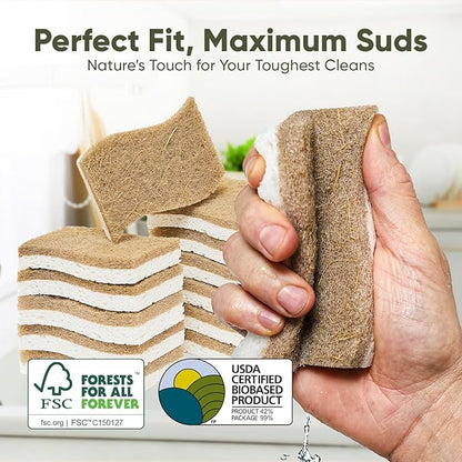 Plant-Based Kitchen Sponges (6 Pack) | USDA Biobased Certified | FSC & PETA Approved | Natural Cellulose & Coconut Scrubber Sponge | S-Shaped Design | Eco-Friendly, Non-Scratch, Non-Toxic & Vegan - Image 6