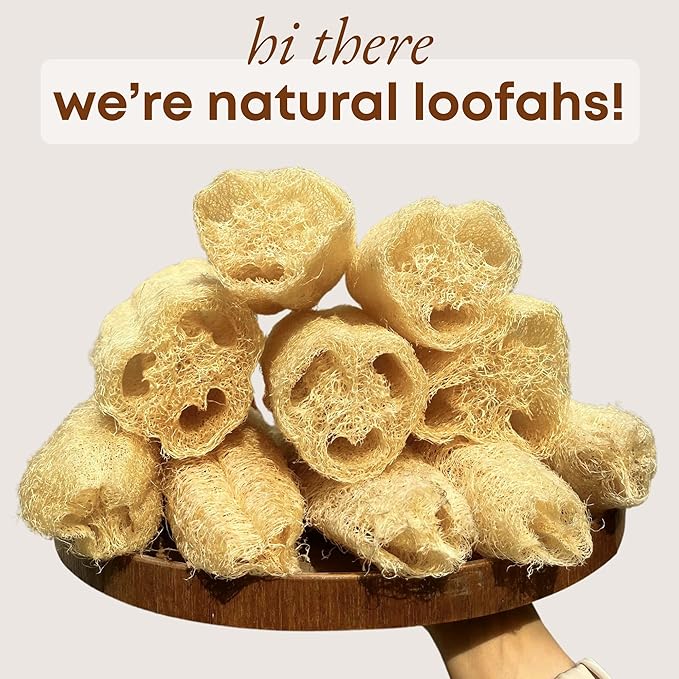 Natural Loofah Sponge (Pack 4) - Exfoliating Body for Bath or Dish Scrubber for Kitchen - 100% Biodegradable Compostable Zero Waste Dishwashing Scouring Pad - Image 2