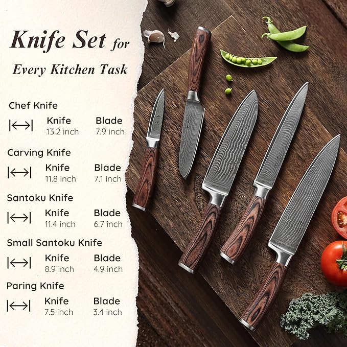 Wakoli EDIB 5-Piece Damascus Knife Set, Professional Kitchen Knives made of 67-Layer Damascus Steel with VG10 Core Blades, Ergonomic Pakkawood Handles, In Wooden Gift Box