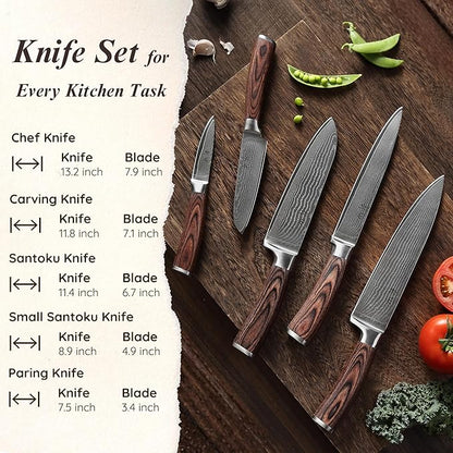 Wakoli EDIB 5-Piece Damascus Knife Set, Professional Kitchen Knives made of 67-Layer Damascus Steel with VG10 Core Blades, Ergonomic Pakkawood Handles, In Wooden Gift Box