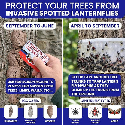 Spotted Lantern Fly Trap for Trees. 3 Sticky Fly Paper Rolls with Pins and Egg Scraper. Bug Tree Tape Wrap Ant Barrier Spotted Lanternfly Killer. Lantern Flies Tape for Trees Glue Insect Barrier