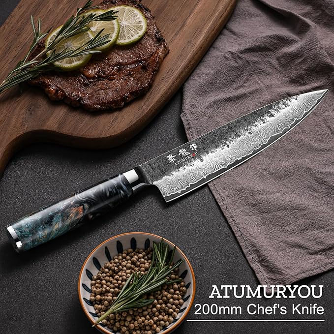 Japanese Chef Knife 8'', Hand Forged 67-Layer Damascus VG10 Core Kitchen Knife for Home & Professional Chefs, Razor Sharp Chef's Knives with Leather Sheath and Premium Gift Box, Ideal Cooking Gift