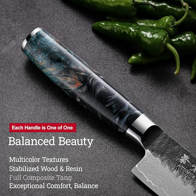 Japanese Chef Knife 8'', Hand Forged 67-Layer Damascus VG10 Core Kitchen Knife for Home & Professional Chefs, Razor Sharp Chef's Knives with Leather Sheath and Premium Gift Box, Ideal Cooking Gift