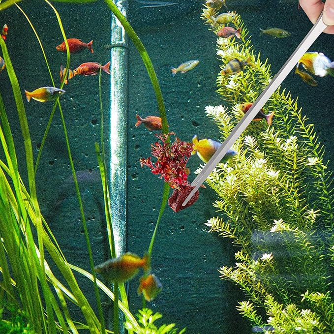 Fri4Free 2PCS Long Aquarium Tweezers - 10.6" Straight and Curved Tweezers, Stainless Steel Reptile Feeding tongs, Terrarium Aquascape Tools Feeder for Lizards, Bearded Dragon Snake Tank Accessories - Image 7