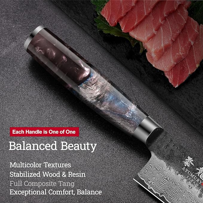 8.27 Inch Japanese Kiritsuke Chef Knife with VG10 Core, Professional 67-Layer Hand-Forged Damascus Knife with Ergonomic Handle, Leather Sheath and Elegant Gift Box – Perfect Gifts for Women Men